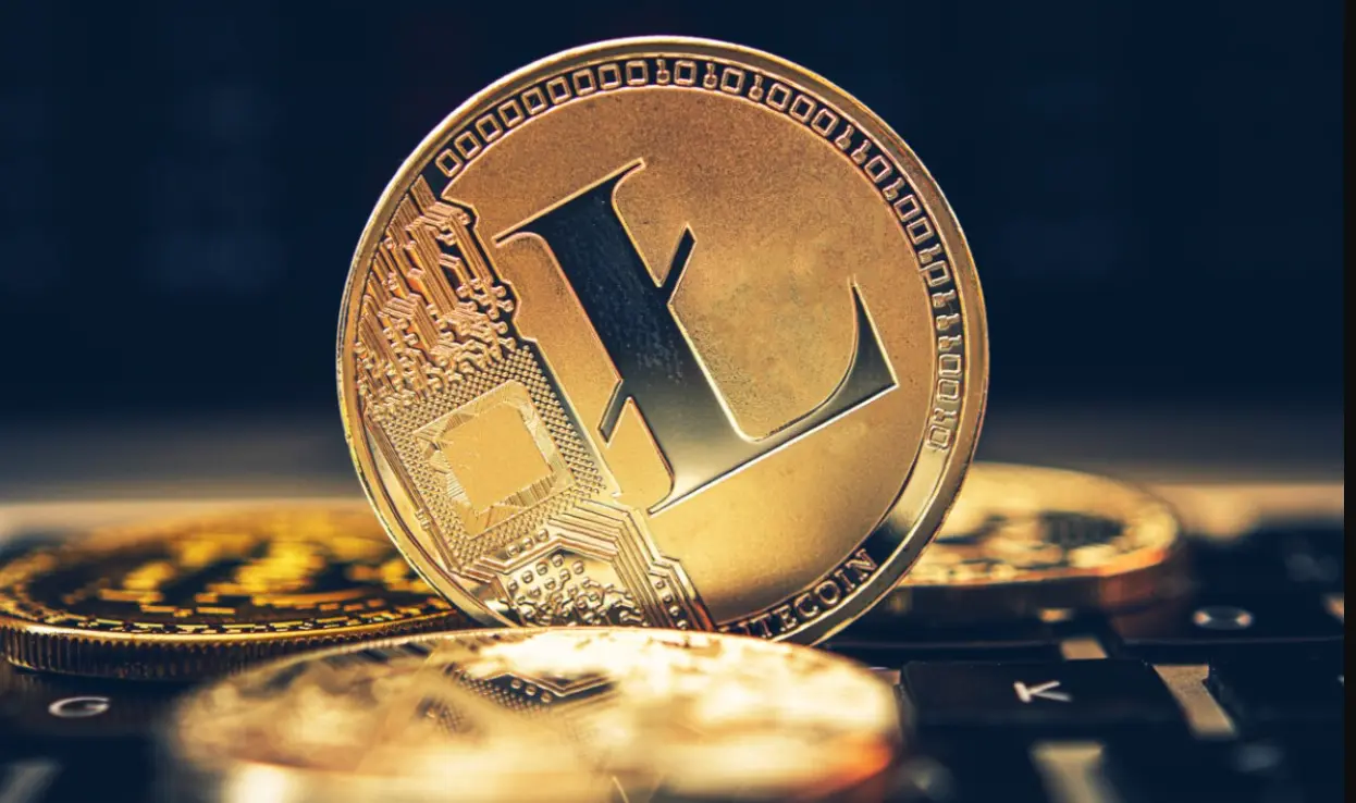 Conoce los mejores casinos litecoin litecoin